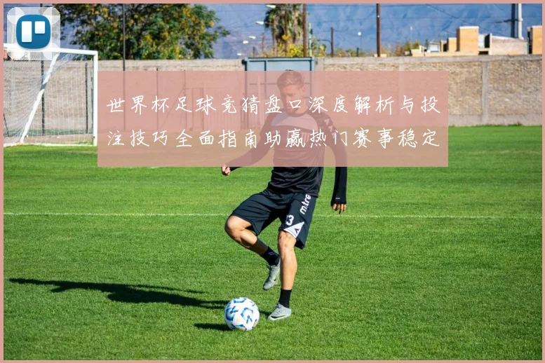 世界杯足球竞猜盘口深度解析与投注技巧全面指南助赢热门赛事稳定盈利策略
