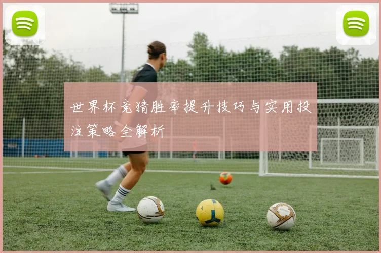 世界杯竞猜胜率提升技巧与实用投注策略全解析