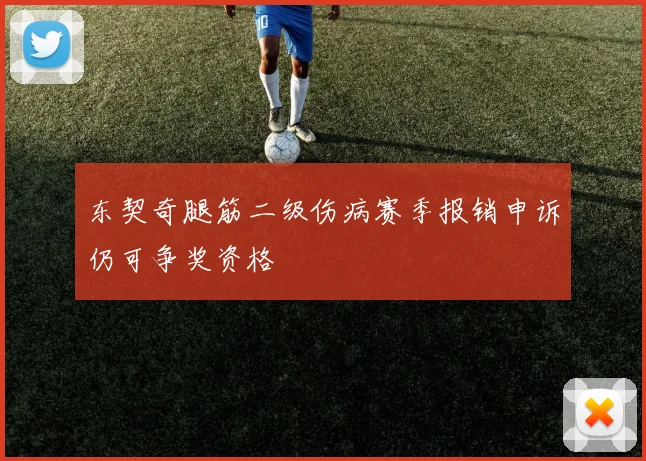 东契奇腿筋二级伤病赛季报销申诉仍可争奖资格
